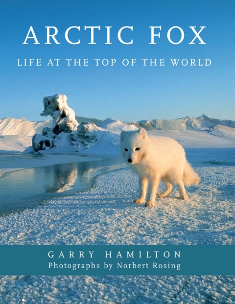 Cover image for book Arctic Fox