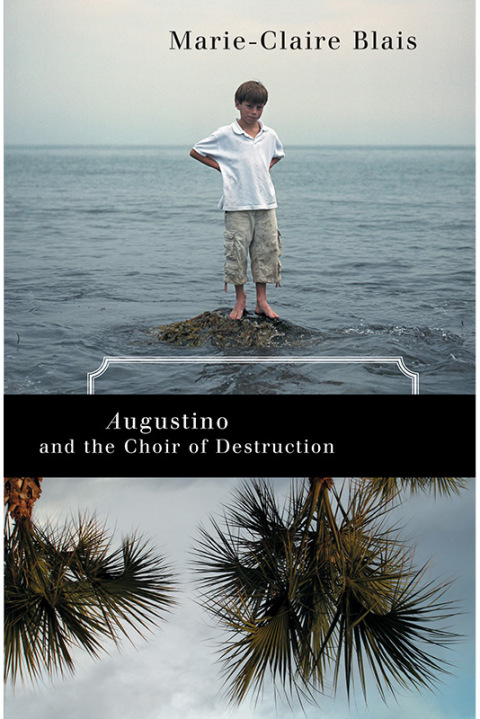 Cover image for book Augustino and the Choir of Destruction