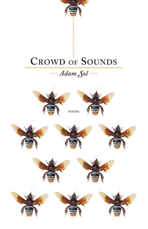 Cover image for book Crowd of Sounds
