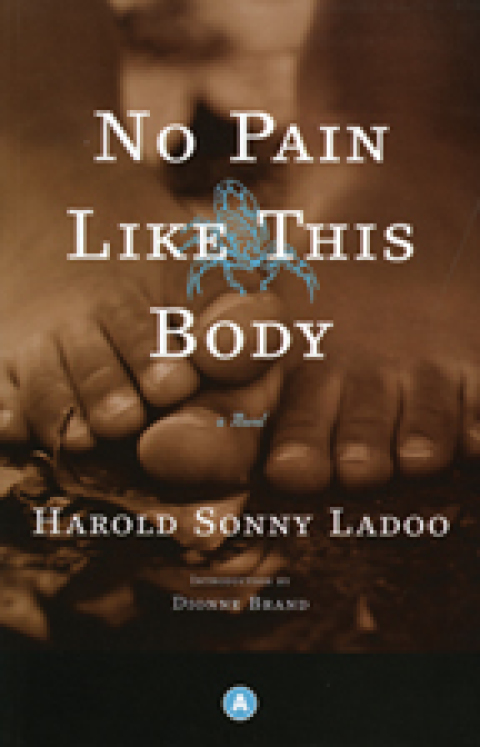 Cover image for book No Pain Like This Body