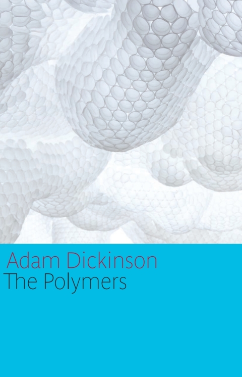 Cover image for book The Polymers special hardcover edition