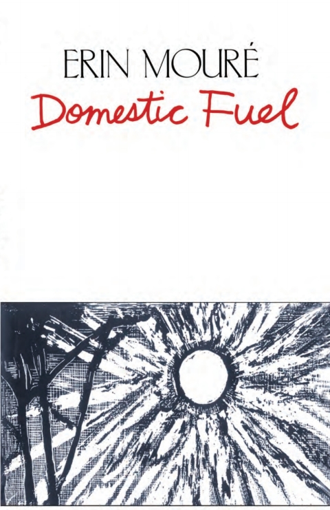 Cover image for book Domestic Fuel