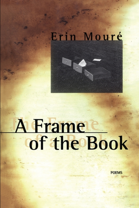 Cover image for book A Frame of the Book