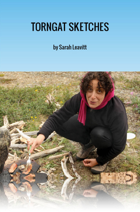 Cover image for book Torngat Sketches