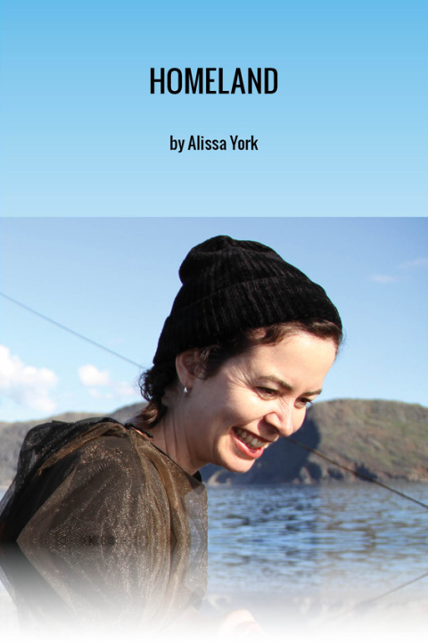 Cover image for book Homeland