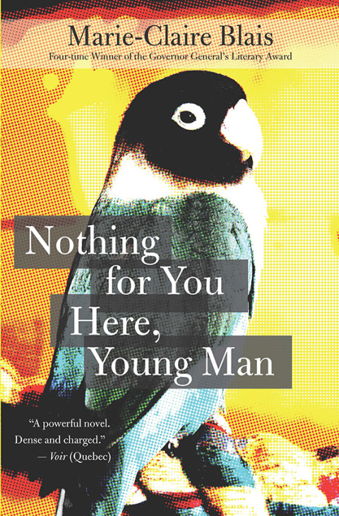 Cover image for book Nothing for You Here, Young Man