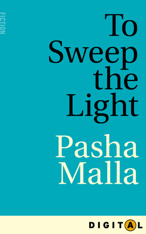 Cover image for book To Sweep the Light