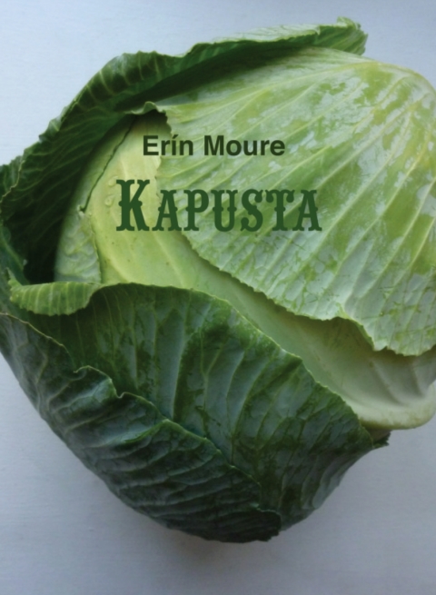 Cover image for book Kapusta