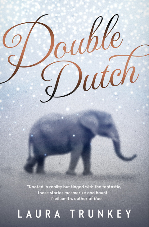 Cover image for book Double Dutch