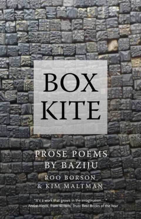 Cover image for book Box Kite