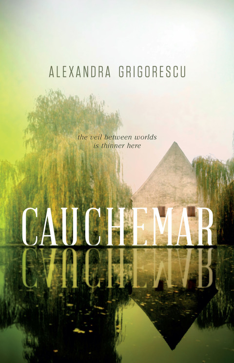 Cover image for book Cauchemar