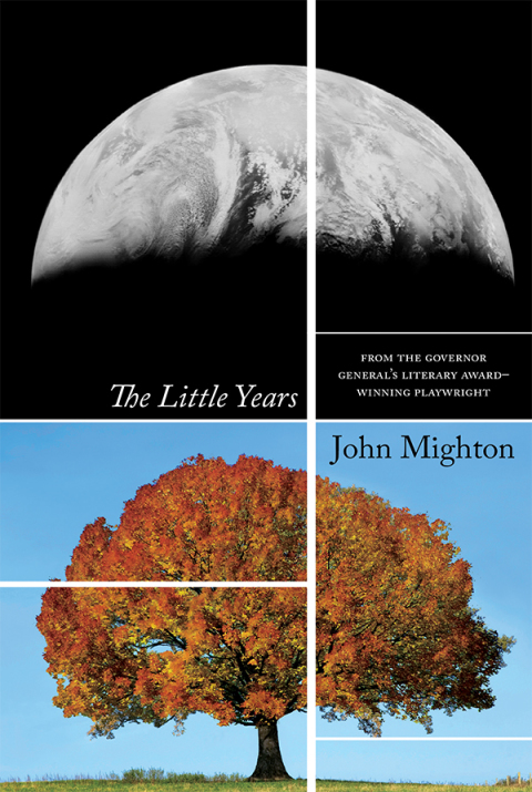 Cover image for book The Little Years