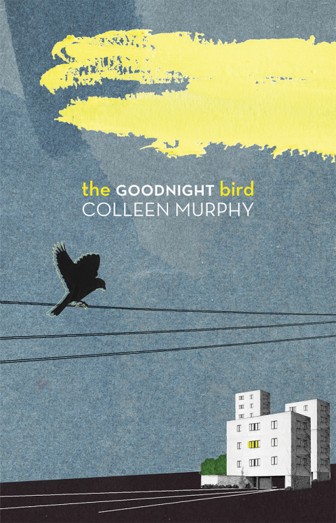 Cover image for book The Goodnight Bird