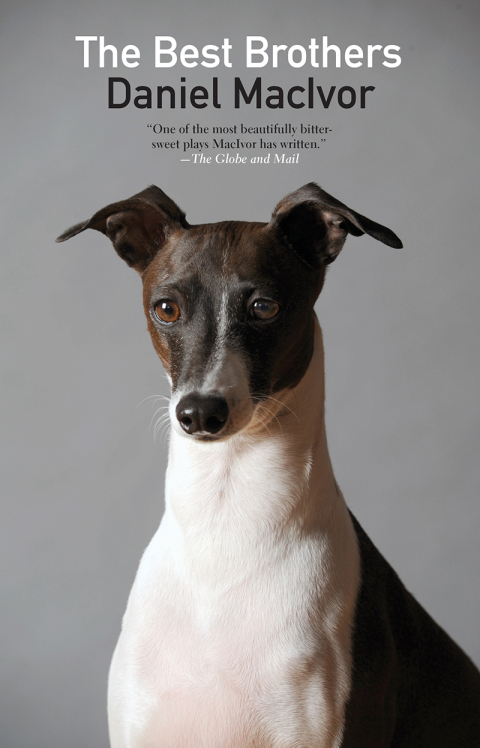 Cover image for book The Best Brothers