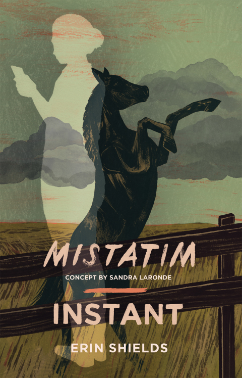 Cover image for book Mistatim / Instant