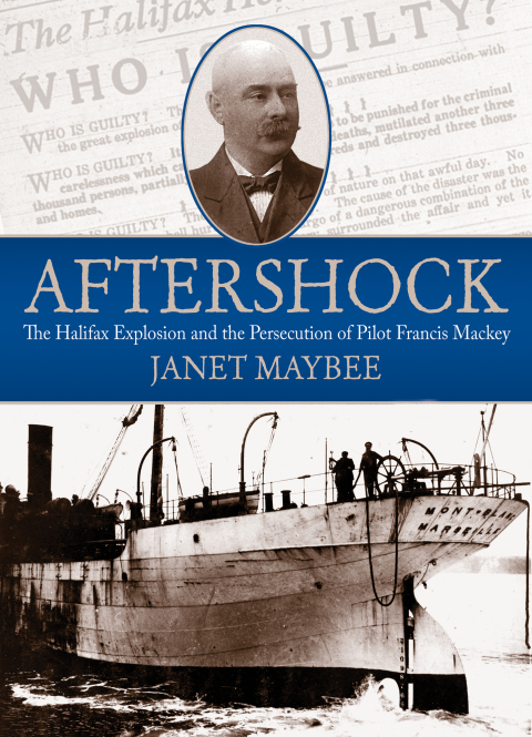 Cover image for book Aftershock