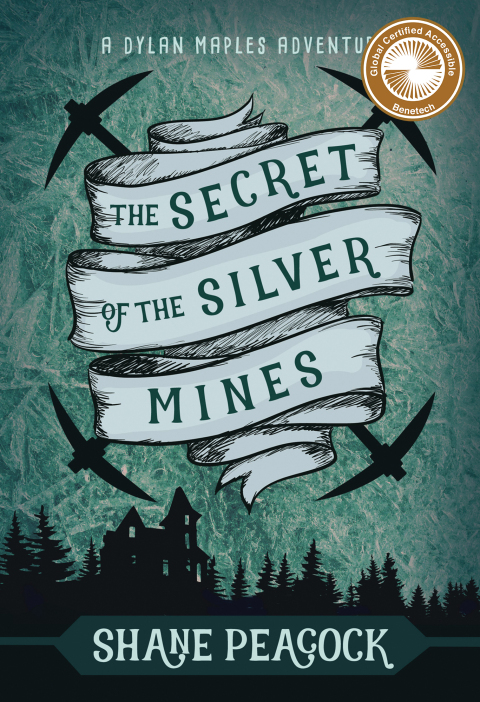 Cover image for book The Secret of the Silver Mines