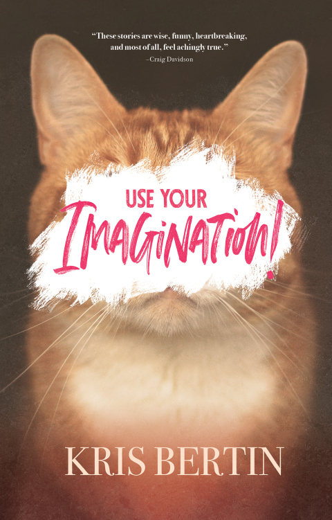 Cover image for book Use Your Imagination