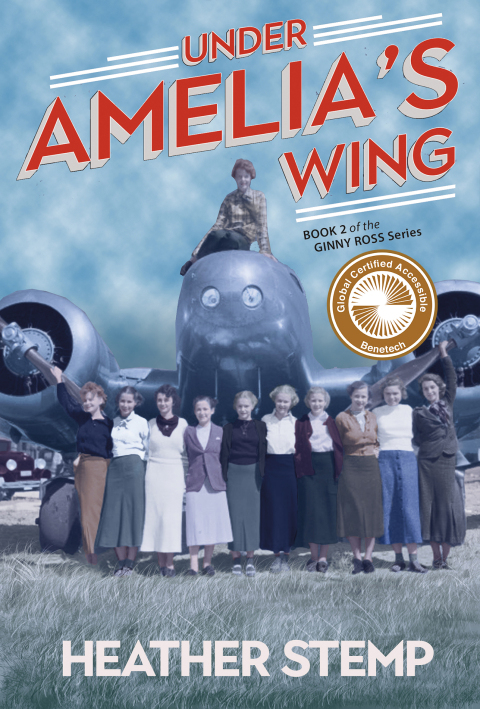 Cover image for book Under Amelia's Wing