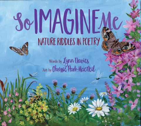 Cover image for book So Imagine Me