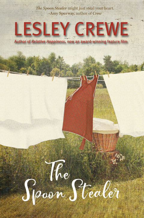 Cover image for book The Spoon Stealer