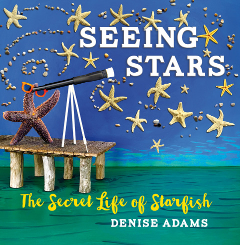 Cover image for book Seeing Stars