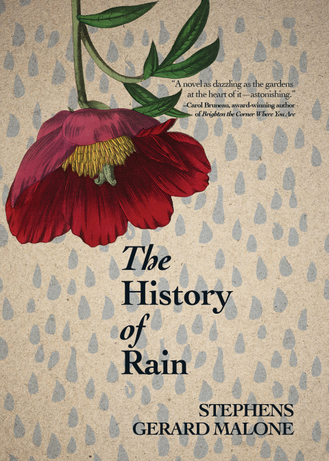 Cover image for book The History of Rain