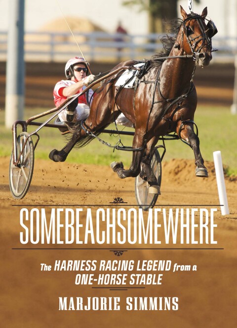 Cover image for book Somebeachsomewhere