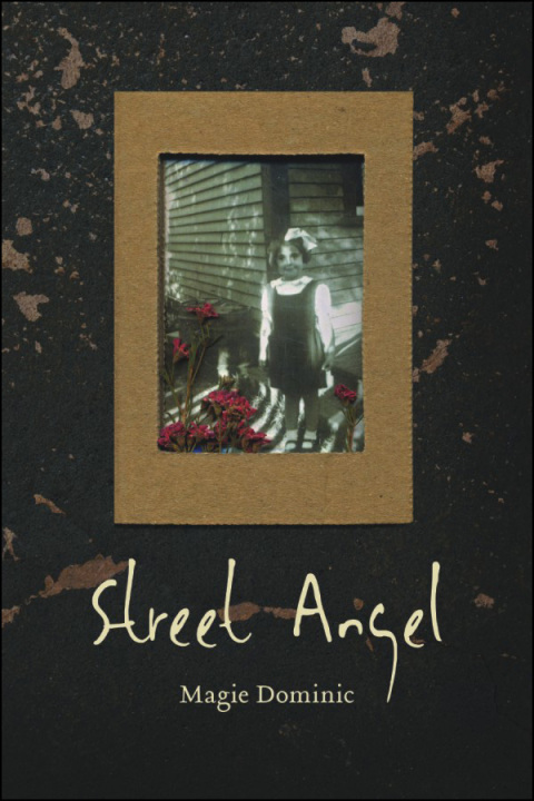 Cover image for book Street Angel
