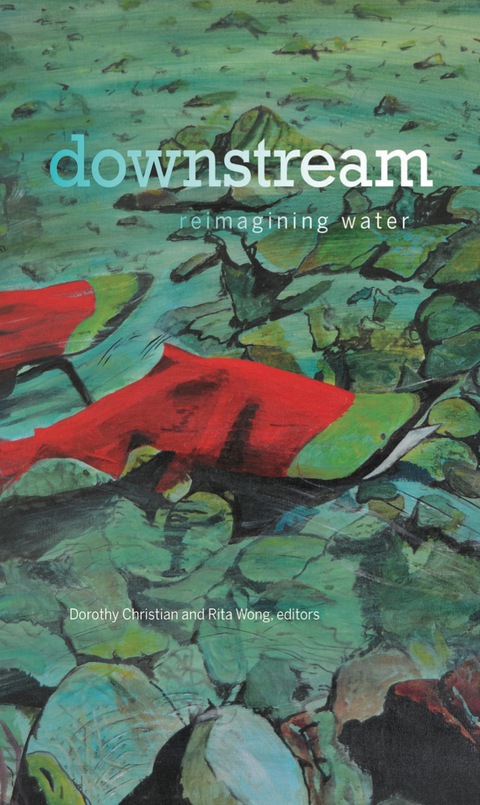 Cover image for book downstream