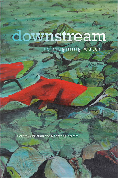 Cover image for book downstream