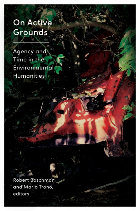 Cover image for book On Active Grounds