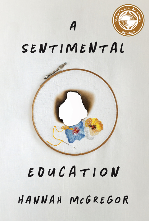 Cover image for book A Sentimental Education