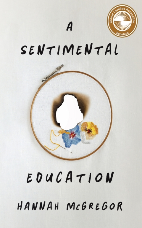 Cover image for book A Sentimental Education