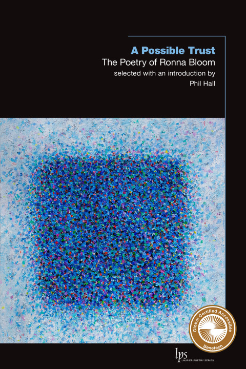 Cover image for book A Possible Trust