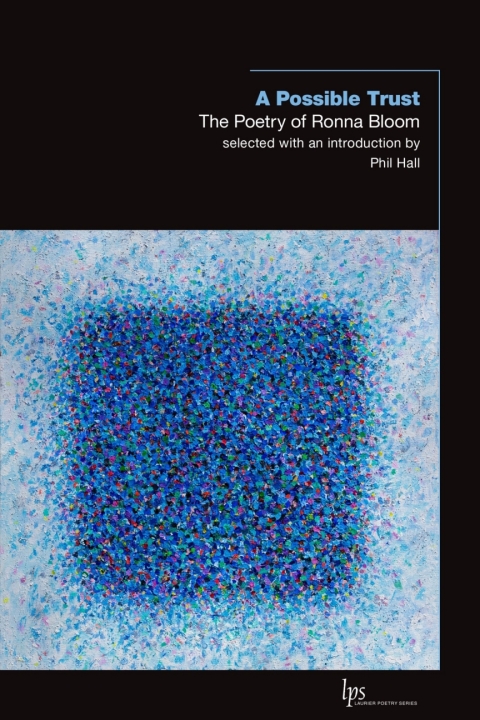 Cover image for book A Possible Trust