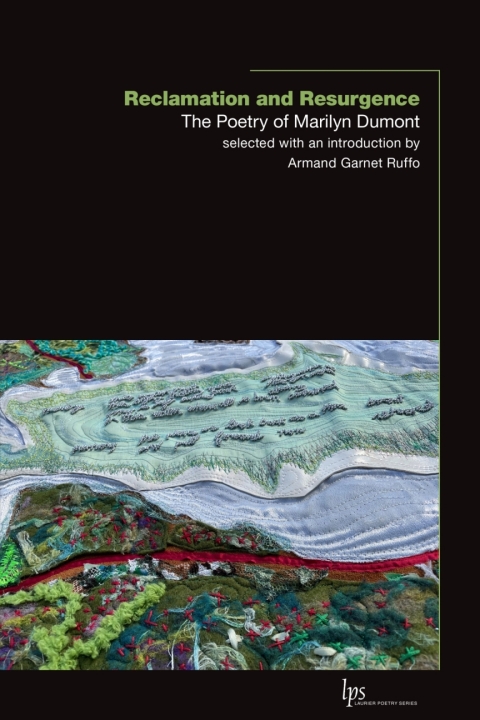 Cover image for book Reclamation and Resurgence