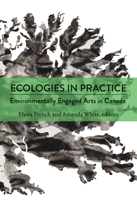 Cover image for book Ecologies in Practice