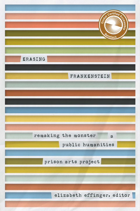 Cover image for book Erasing Frankenstein