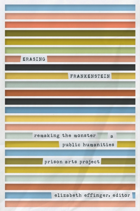 Cover image for book Erasing Frankenstein