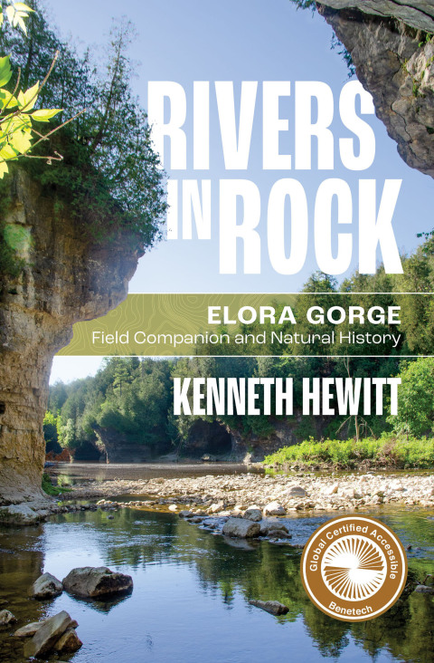 Cover image for book Rivers in Rock