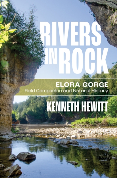 Cover image for book Rivers in Rock