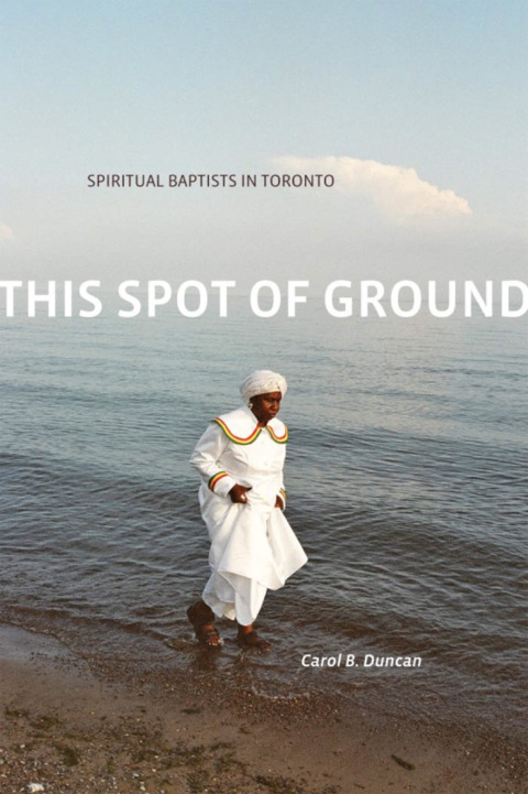 Cover image for book This Spot of Ground