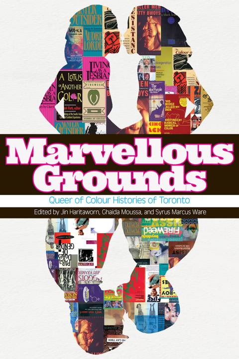 Cover image for book Marvellous Grounds