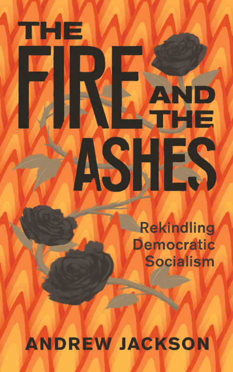Cover image for book The Fire and the Ashes