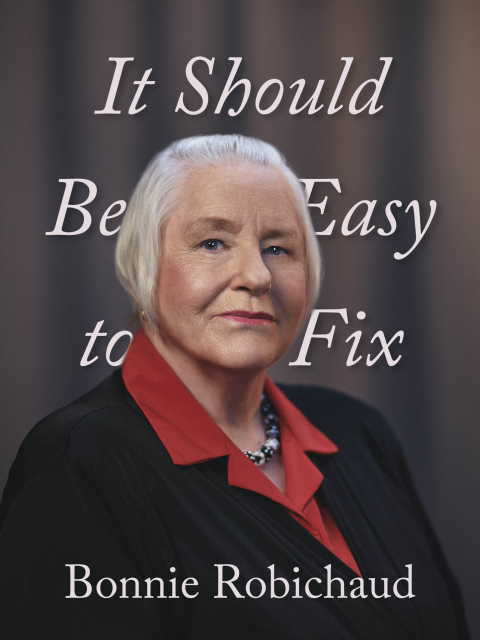 Cover image for book It Should Be Easy to Fix