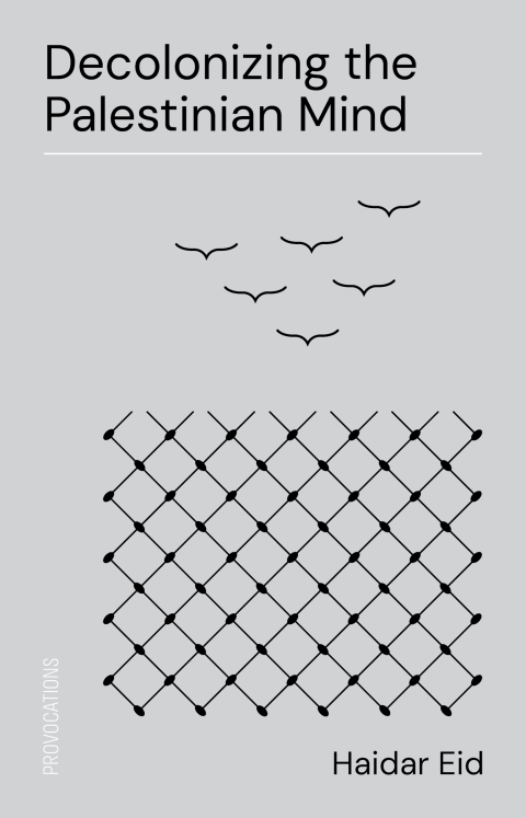 Cover image for book Decolonizing the Palestinian Mind