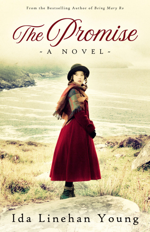 Cover image for book The Promise