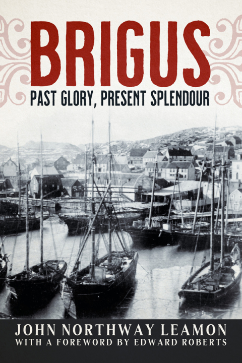 Cover image for book Brigus