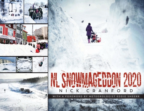 Cover image for book NL Snowmageddon 2020
